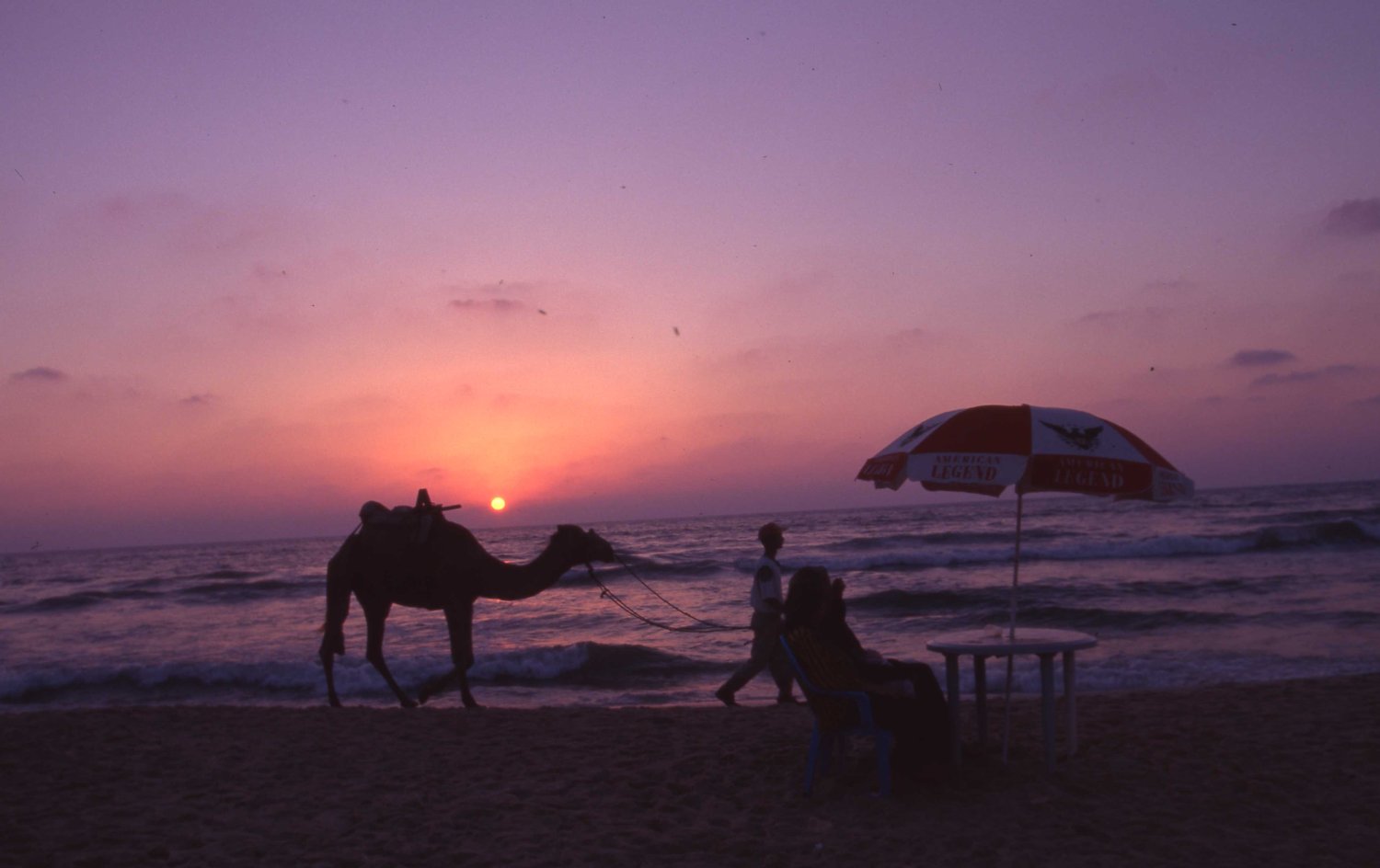 古居みずえ banner