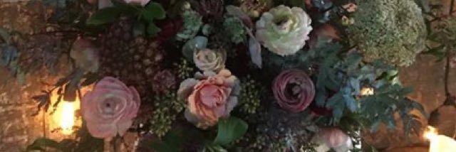 AMOREHeather's profile banner image