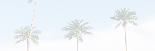 xtorpe's profile banner image