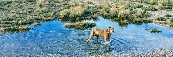 AgNico13 Profile Banner