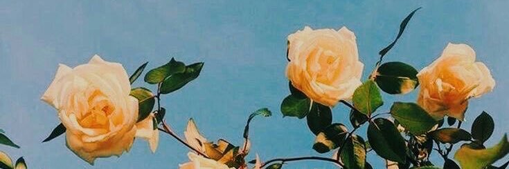 GerardSya's profile banner image