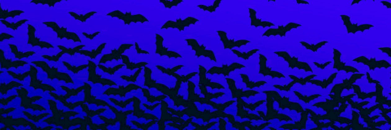 KeightLogan's profile banner image