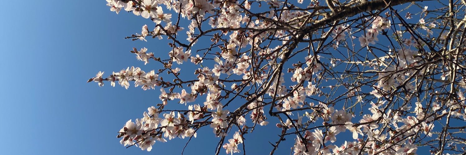 rita_imad's profile banner image