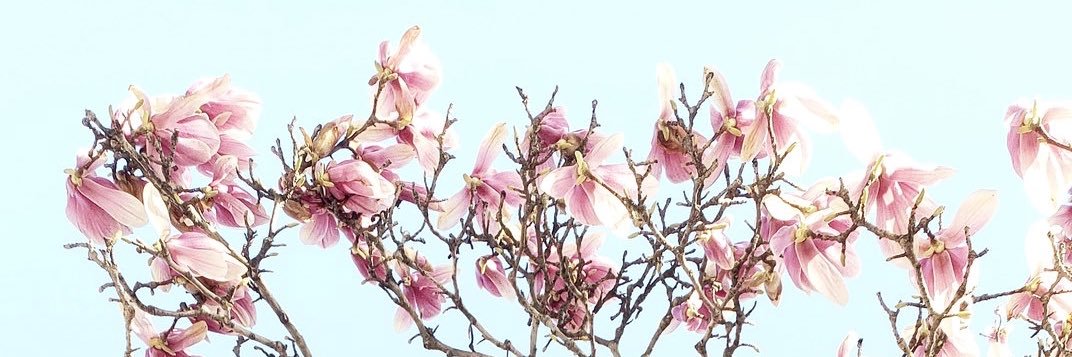 ashharps97's profile banner image