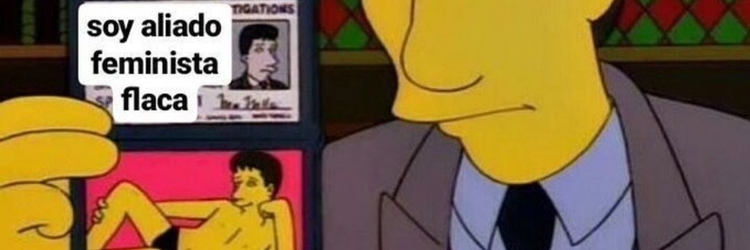 lucas zampolla banner