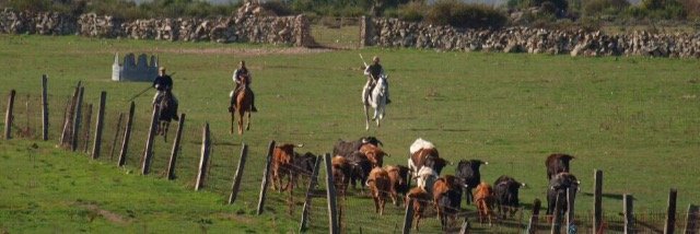 Los Lastrones banner