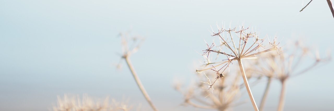 criscostacha's profile banner image