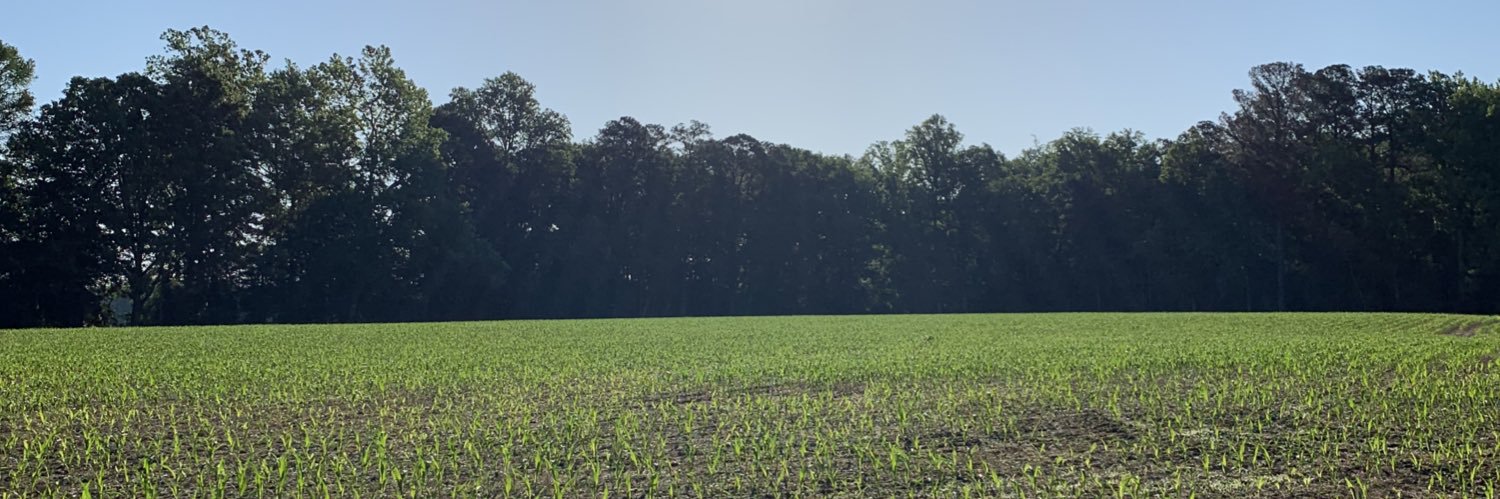 rdj_35's profile banner image