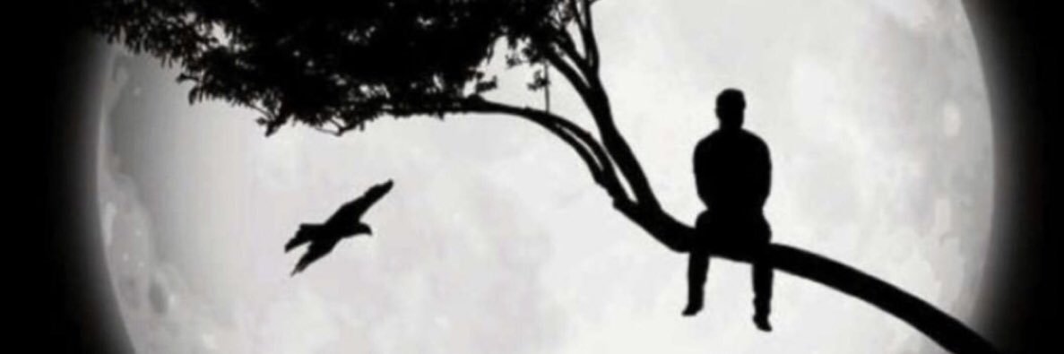 1a__s's profile banner image