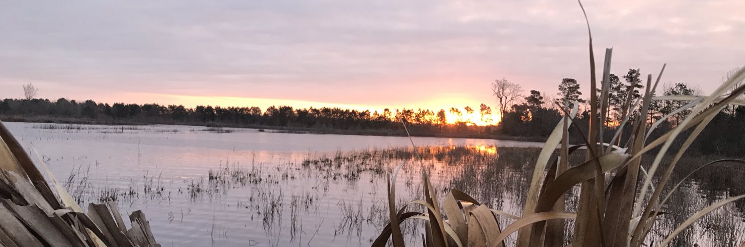 AltmanPGA's profile banner image