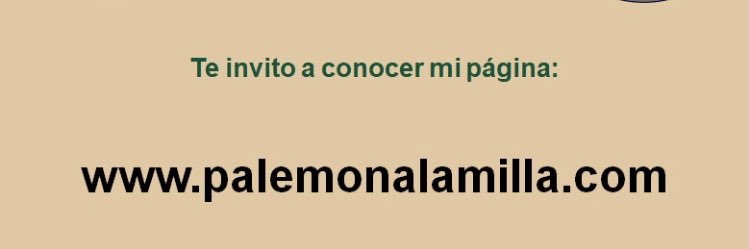 E. Palemón Alamilla V. banner