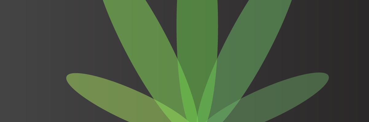PotFunder's profile banner image