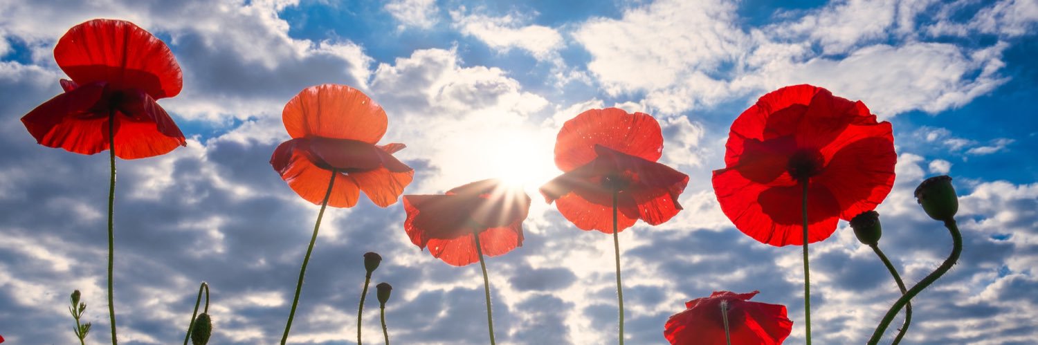 ange_benn's profile banner image