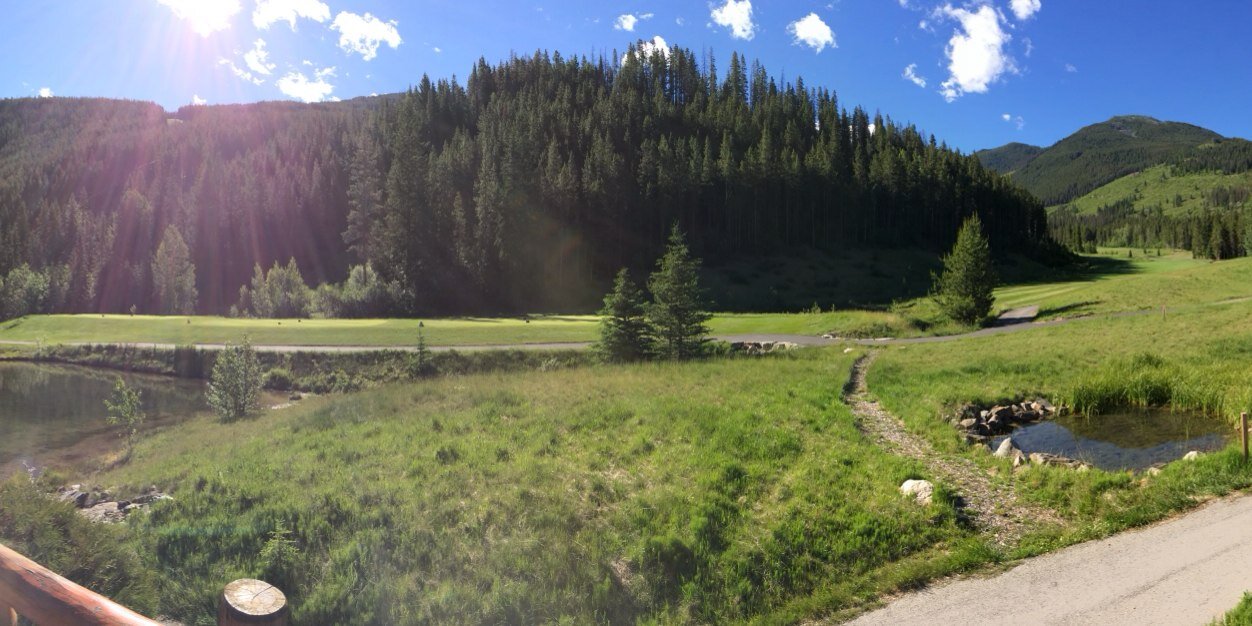 David (Los Petroleros) banner