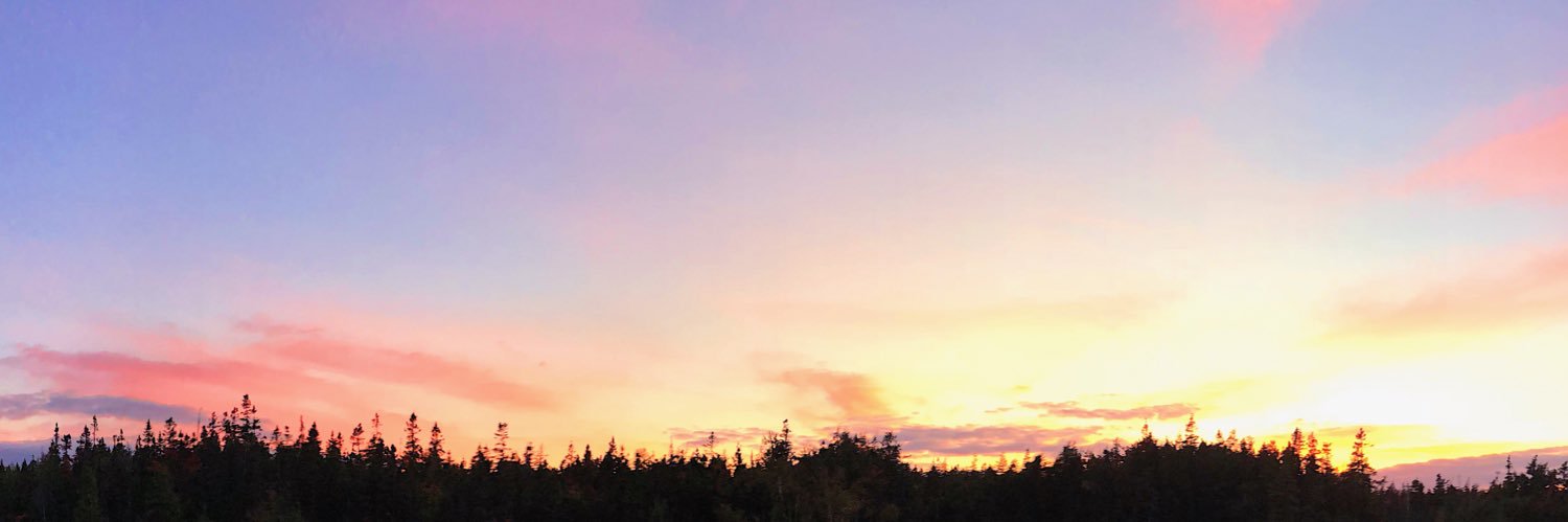 toriahiggins's profile banner image