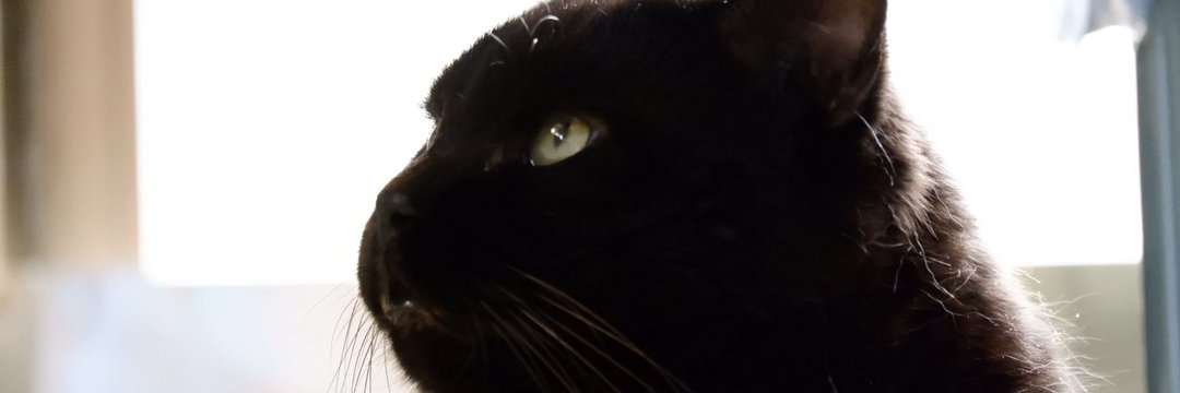 CQW_KTH's profile banner image