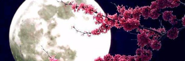 zhany2015's profile banner image