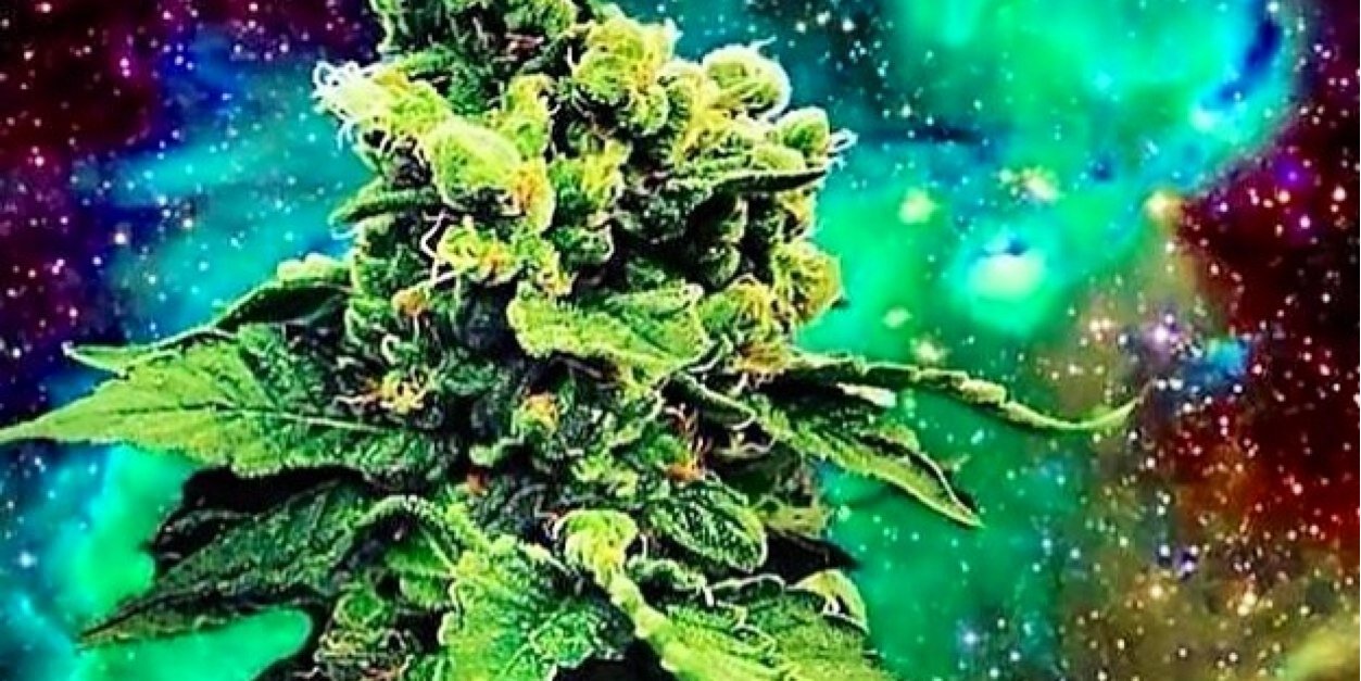jameszaragoza1's profile banner image