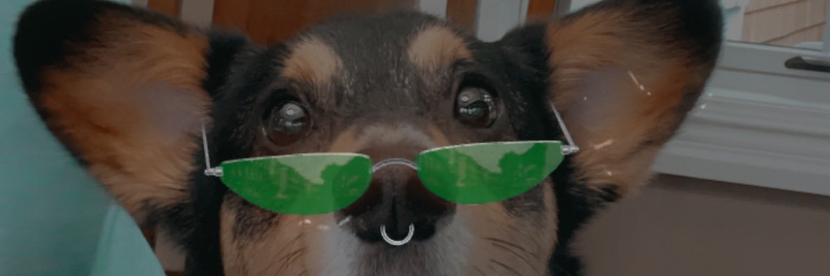 lizzzardy's profile banner image