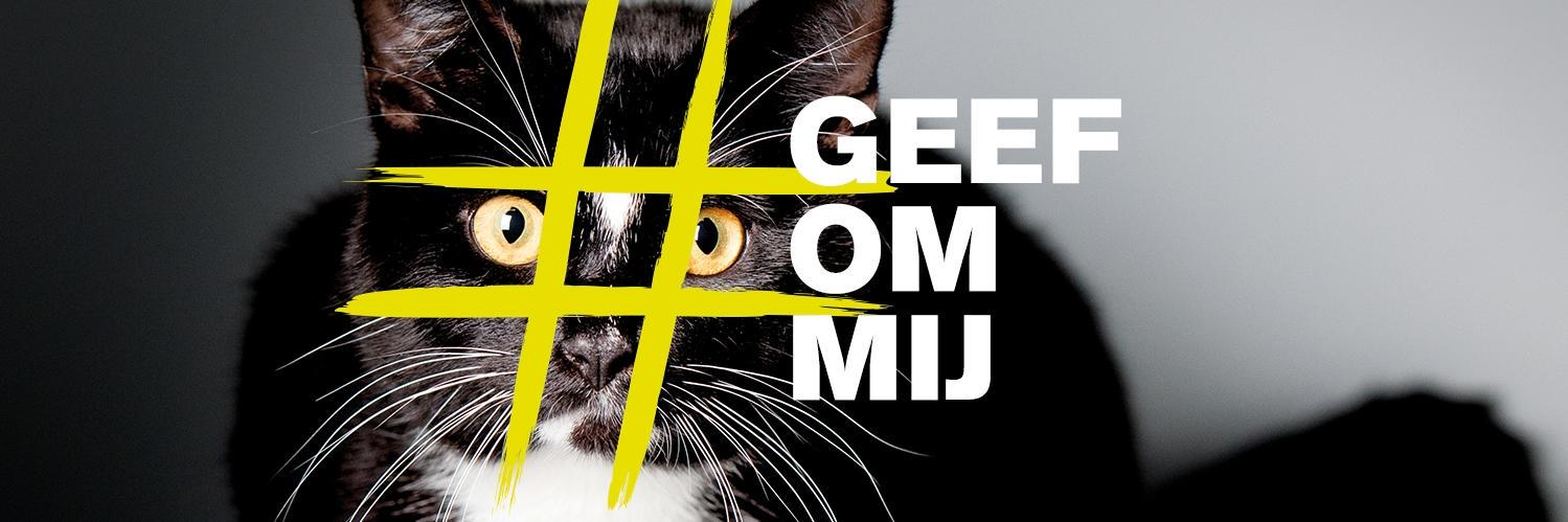 Dierenbescherming RL banner