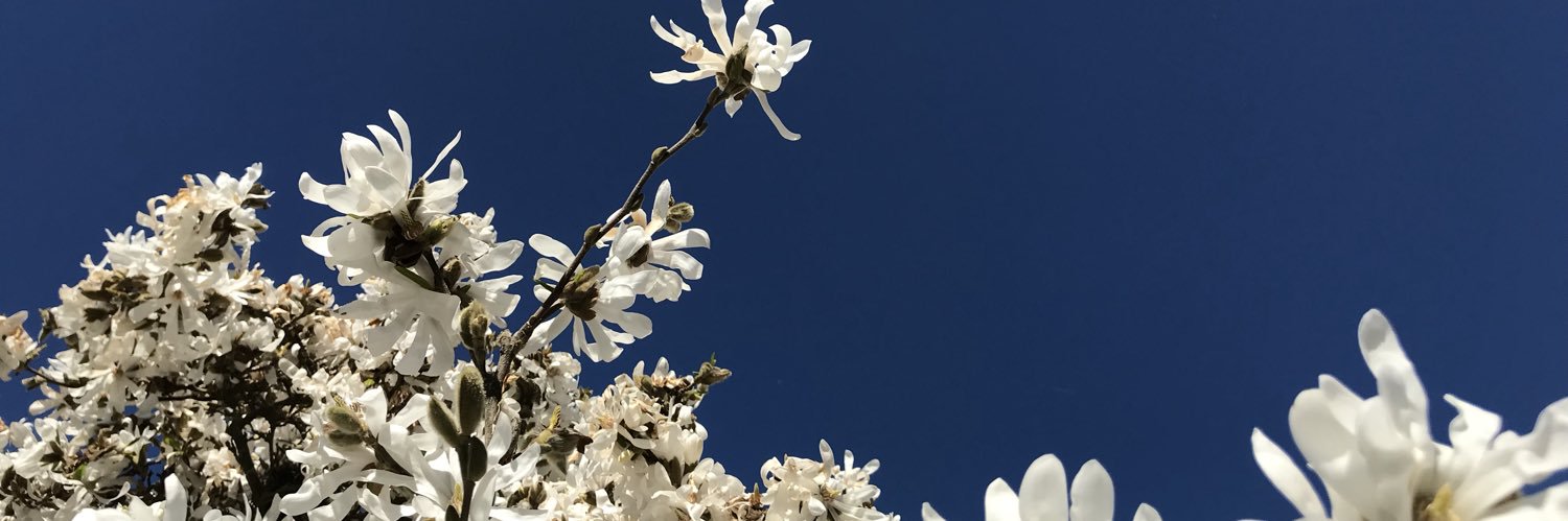 me_te_aroha's profile banner image