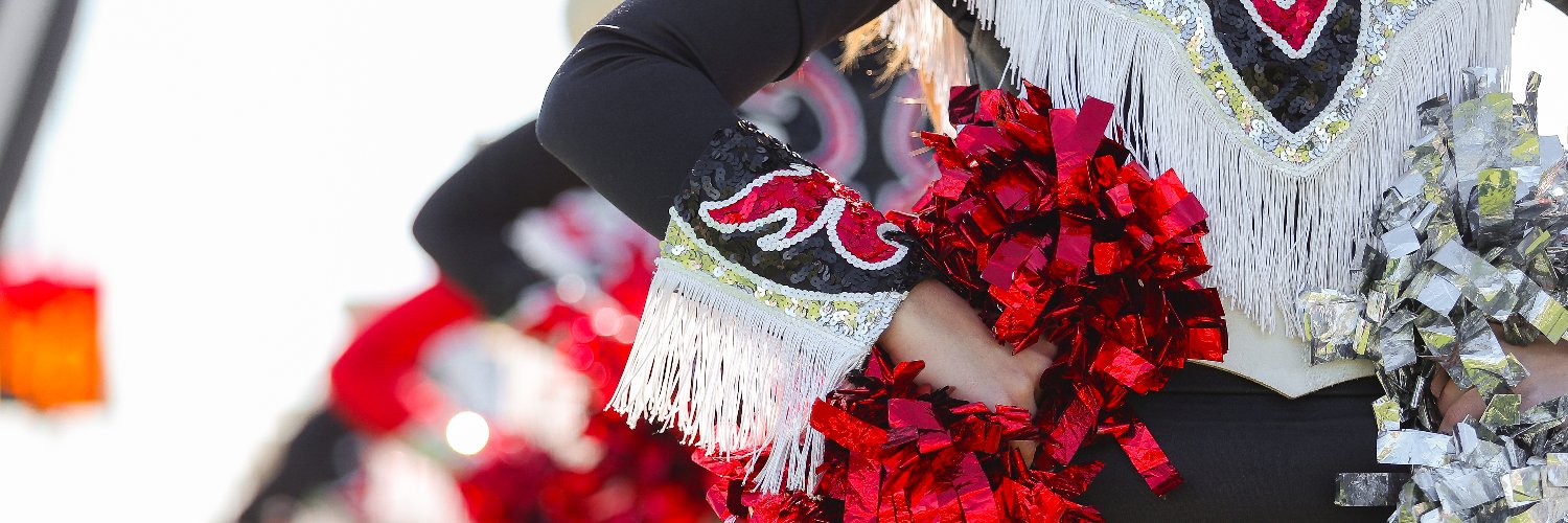 LTHScavalettes's profile banner image