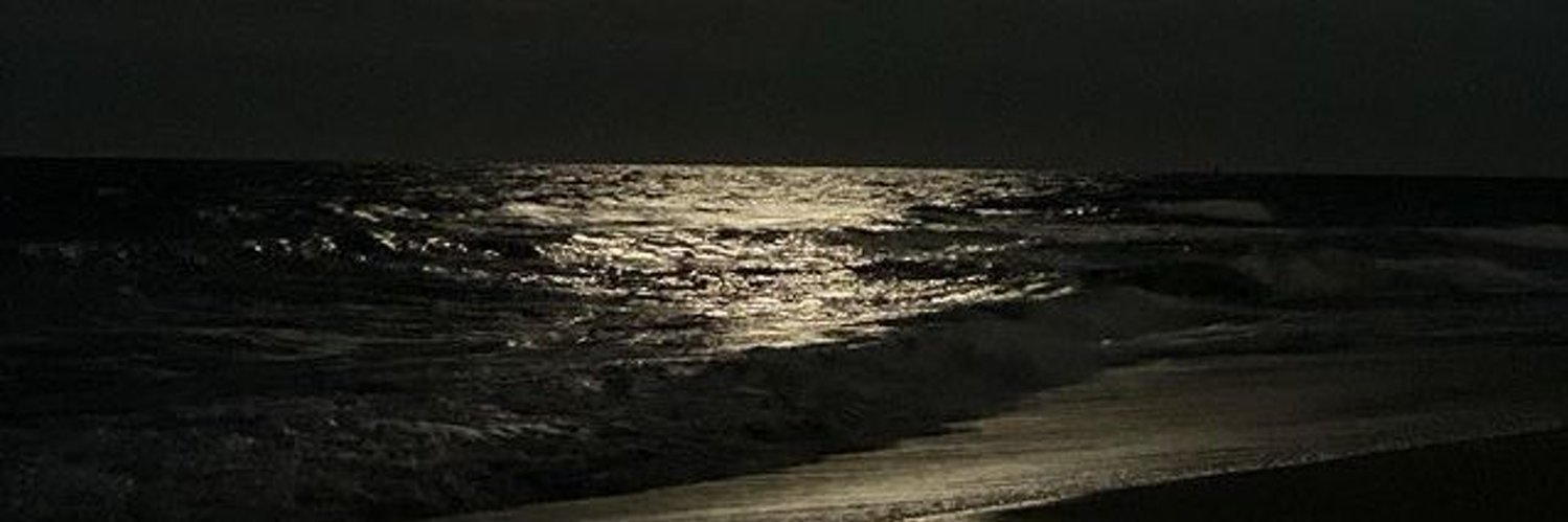 layil2000's profile banner image