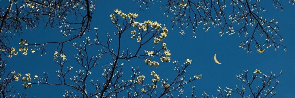 fm2q_'s profile banner image