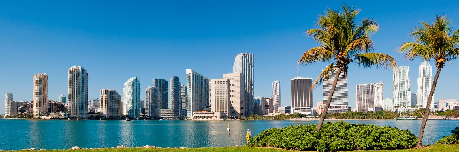 MiamiDadeLink's profile banner image
