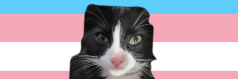 ImEmogan's profile banner image