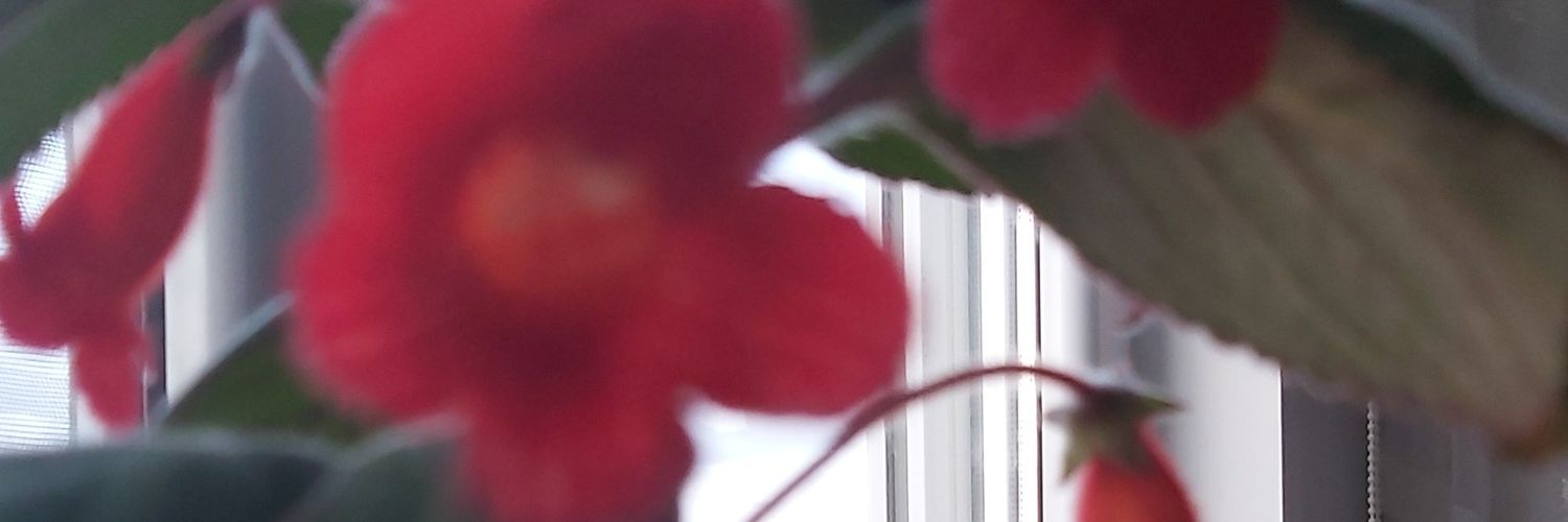 okur7715's profile banner image