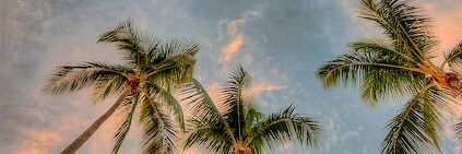 mapaula_rivera's profile banner image