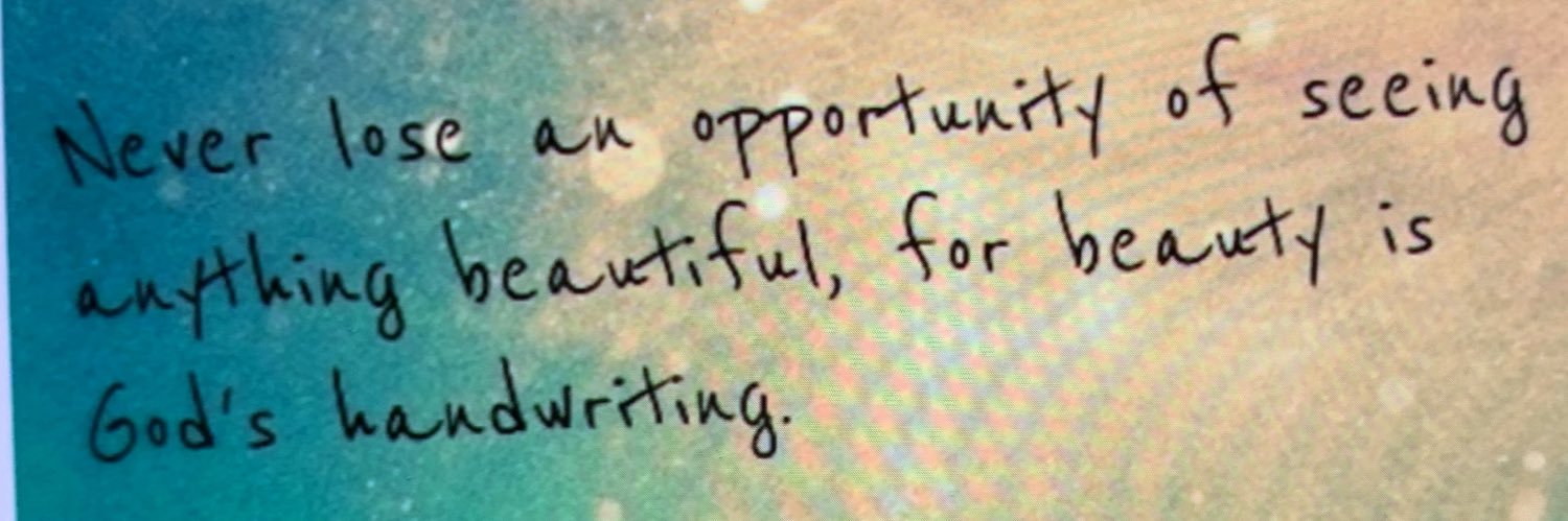 Brenda Roller banner