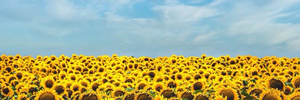 Ms_loyd Profile Banner