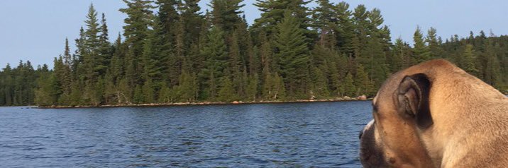madison4bean's profile banner image