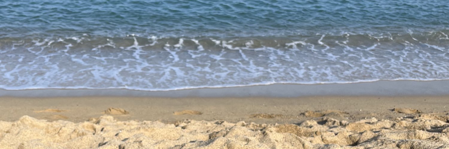 DZendersky's profile banner image