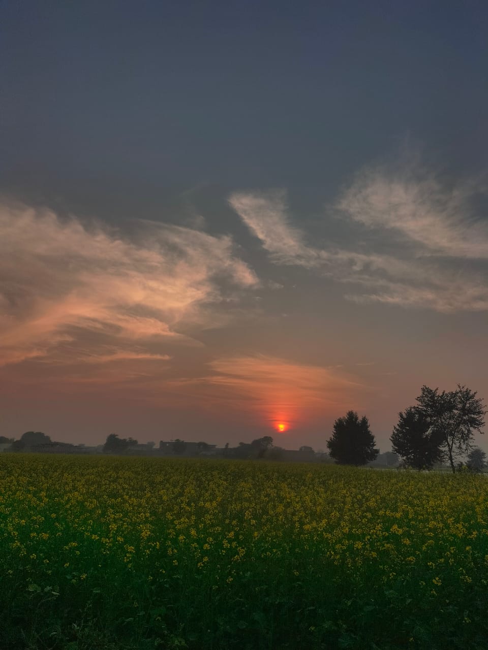 Waseem Jaffar banner