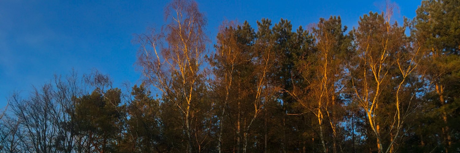 ElienMonden's profile banner image