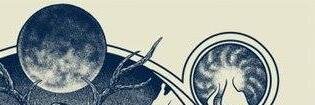 armando33992362's profile banner image