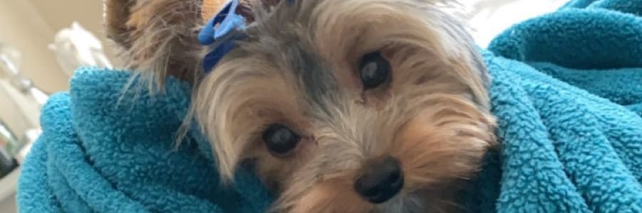 lexfalc's profile banner image