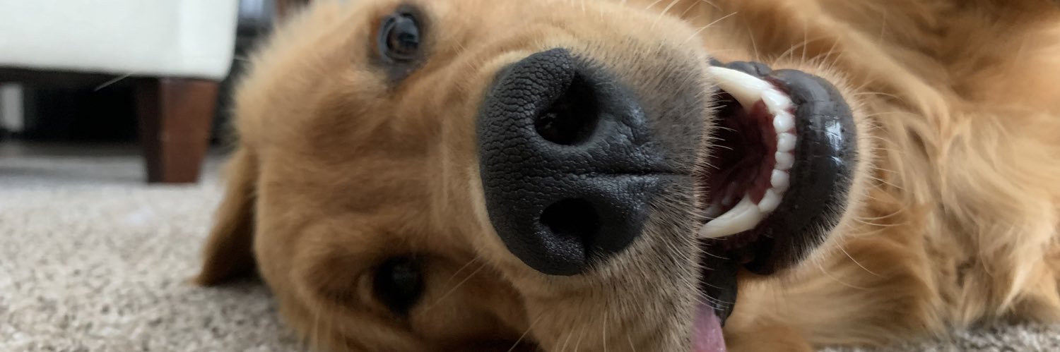 Austin Jacobsen banner