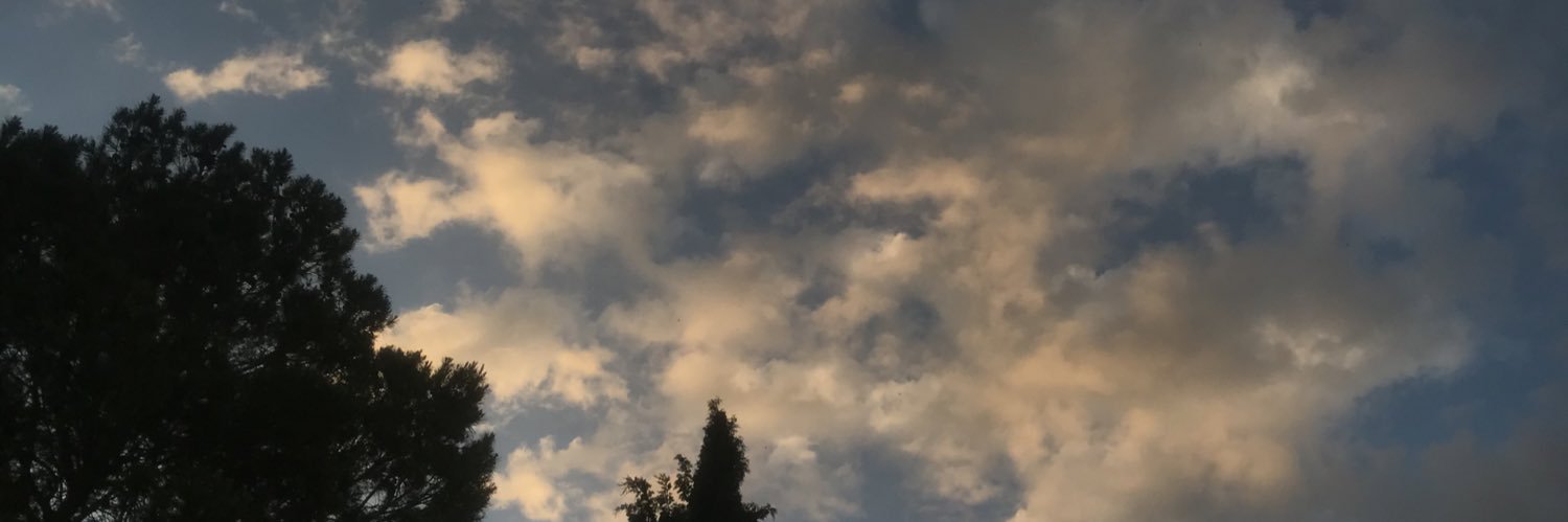 limpialacasaa's profile banner image