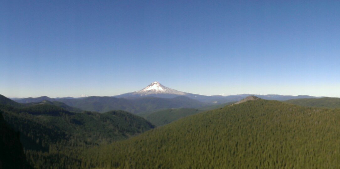 DMaunu's profile banner image