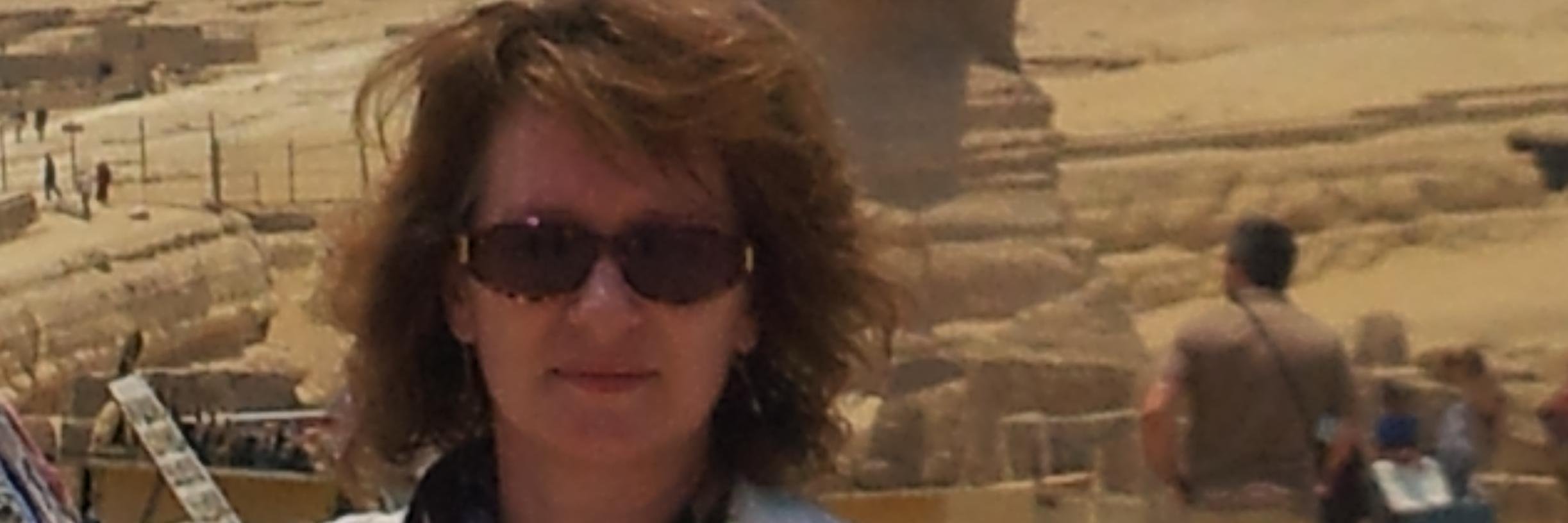 DianeEFolan's profile banner image