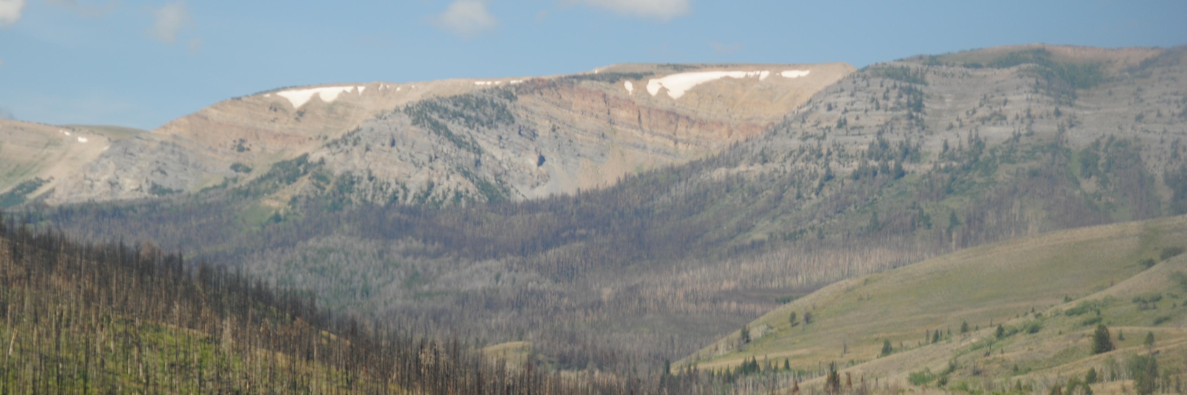 WyoBufGal's profile banner image