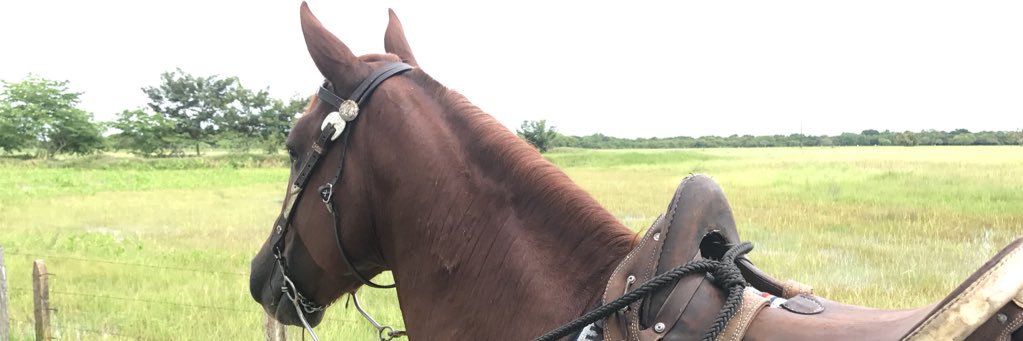 FreddyForeroM's profile banner image