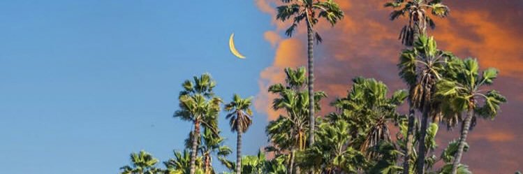 Young_Groovy's profile banner image