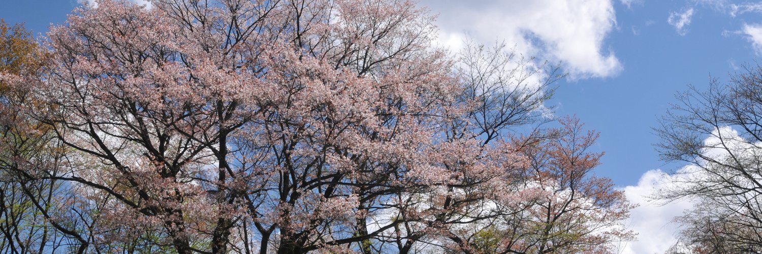 ParksKomine's profile banner image