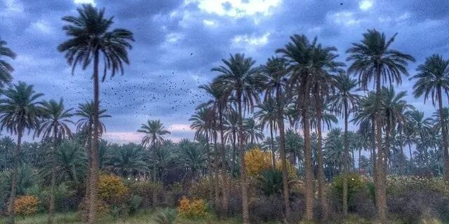 bashkh's profile banner image