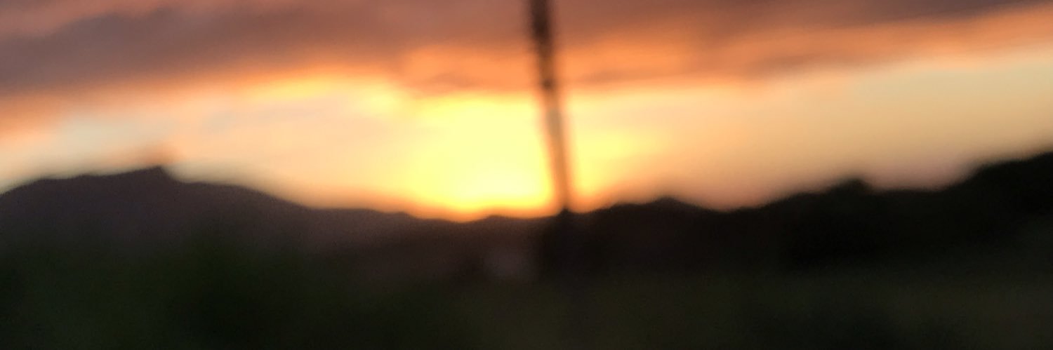 othiagopedro's profile banner image